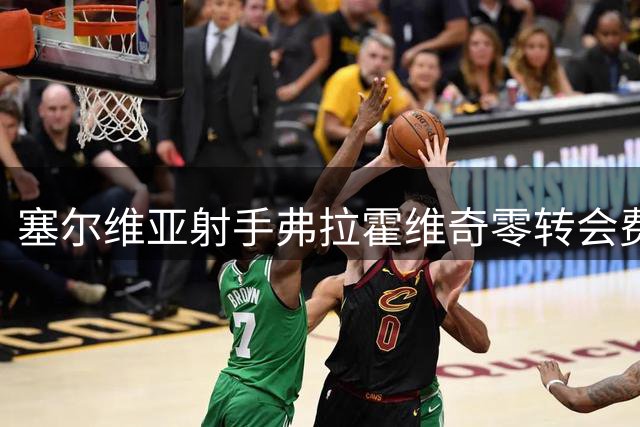 塞尔维亚射手弗拉霍维奇零转会费登陆土超劲旅